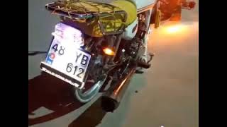 Dip Basık Kuba Çita Resimi