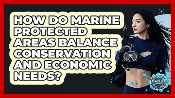 How Do Marine Protected Areas Balance Conservation And Economic Needs? - The Marine Life Explorer