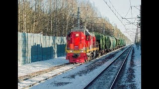 Тепловоз ТЭМ18ДМ-1110 с грузовым поездом, о.п. Комарово, СПб.