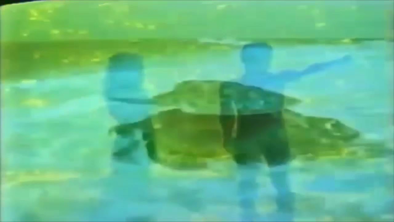 Miami Vice - Palm Haze (Music Video)