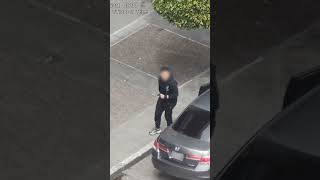 Suspects Tracked and Arrested One Day After Violent Pokémon Card Robbery
