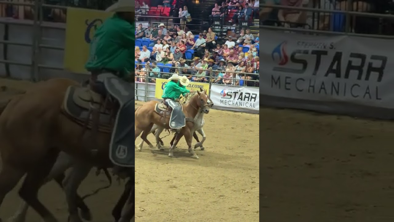 “Unleashing the Beast: Rodeo Thrills in Full Swing” 