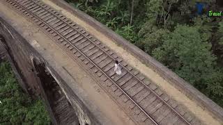 The most beautiful transport service in Sri Lanka screenshot 4