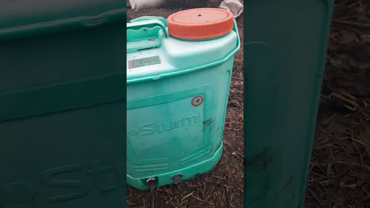 Юниформ для клубники