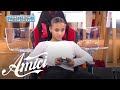 Amici 23 - Marisol - Funkytown