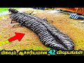 ஆச்சரியமான 42 விஷயங்கள்! | Things You Will See For The First Time Part 2 | Tamil Ultimate