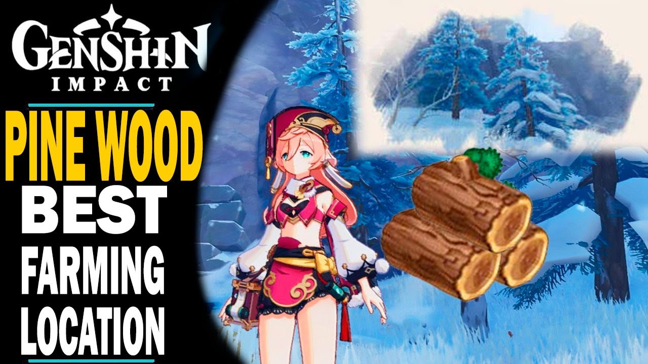 GENSHIN IMPACT WHERE TO FIND PINE WOOD BEST LOCATIONS FOR FARMING