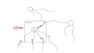 Perceptron Intro Part 1 - Bio-Inspired Learning