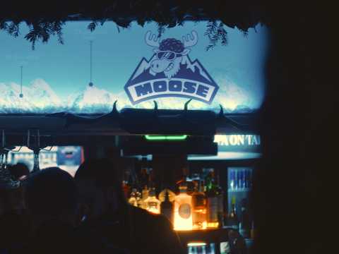 Moose | Promo Video