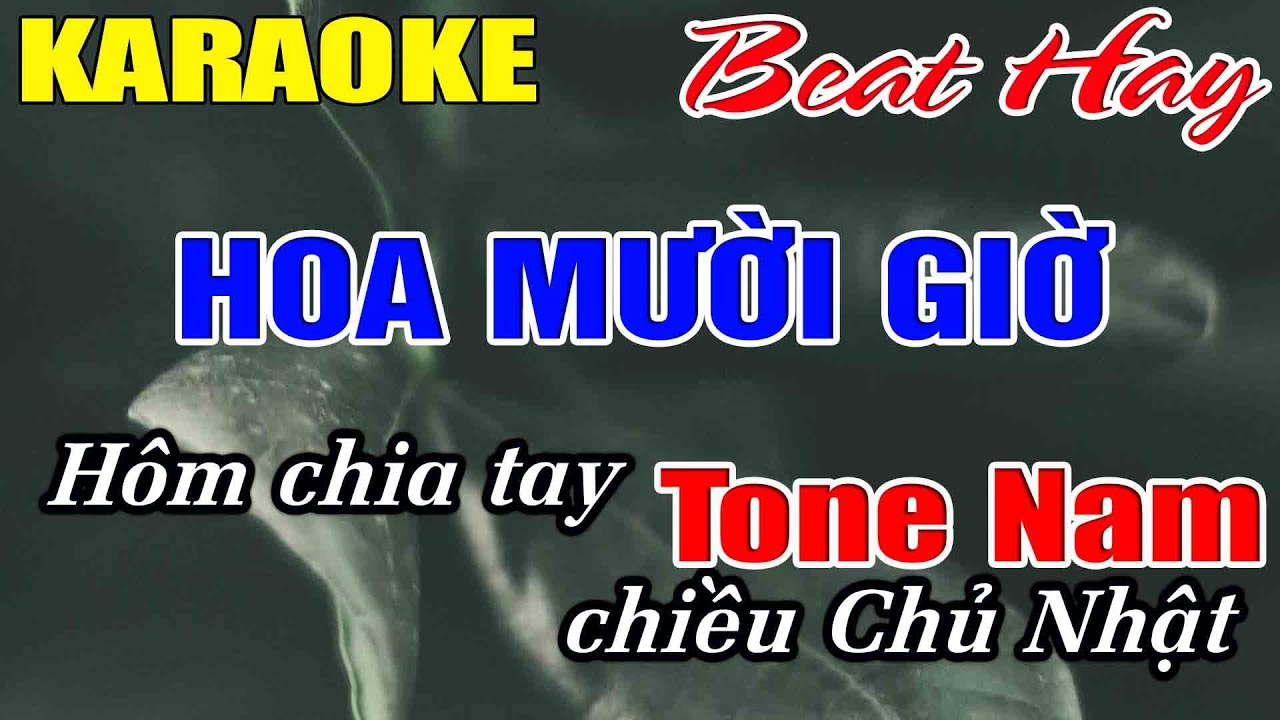 Hoa Mười Giờ Karaoke Tone Nam Karaoke Hải Nhạc Sống 2026 - Beat Mới
