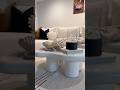 https:///iketk.it/5nlvw #homedecor #lovingroom #neutraldecor #livingroominspiration #falldecor