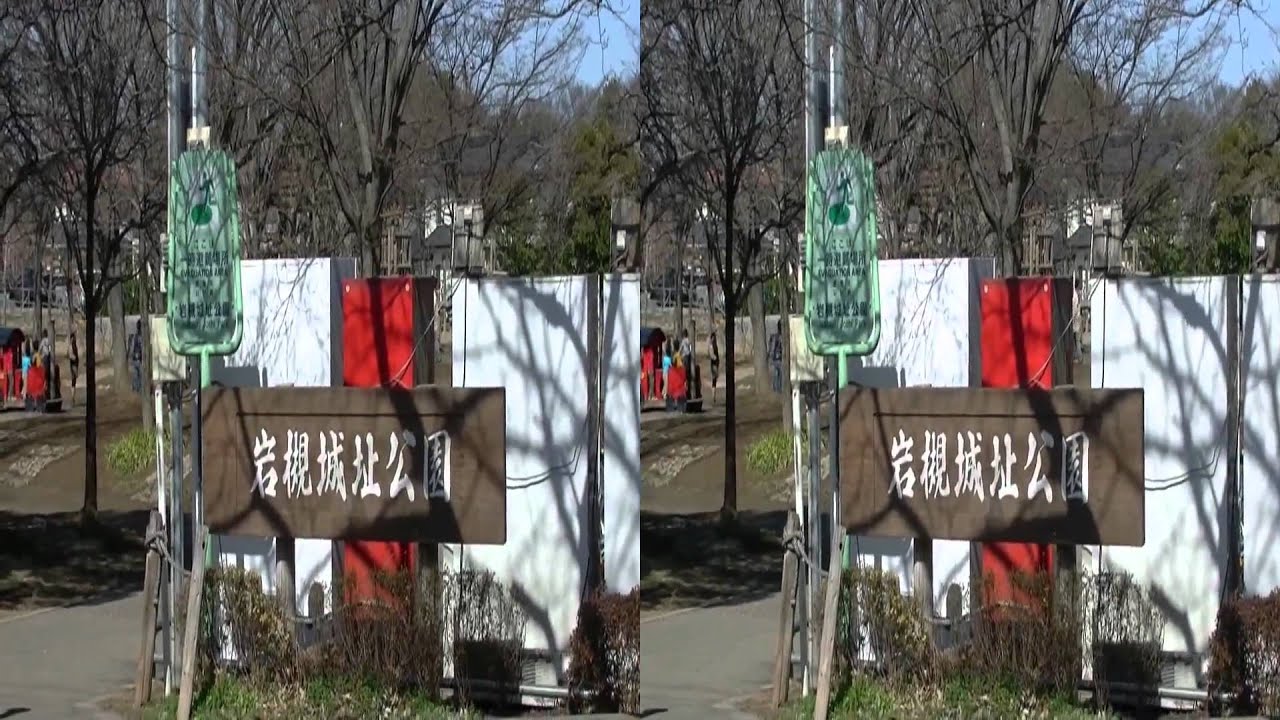 3d walk iwatsuki ( 3D散歩 岩槻 )