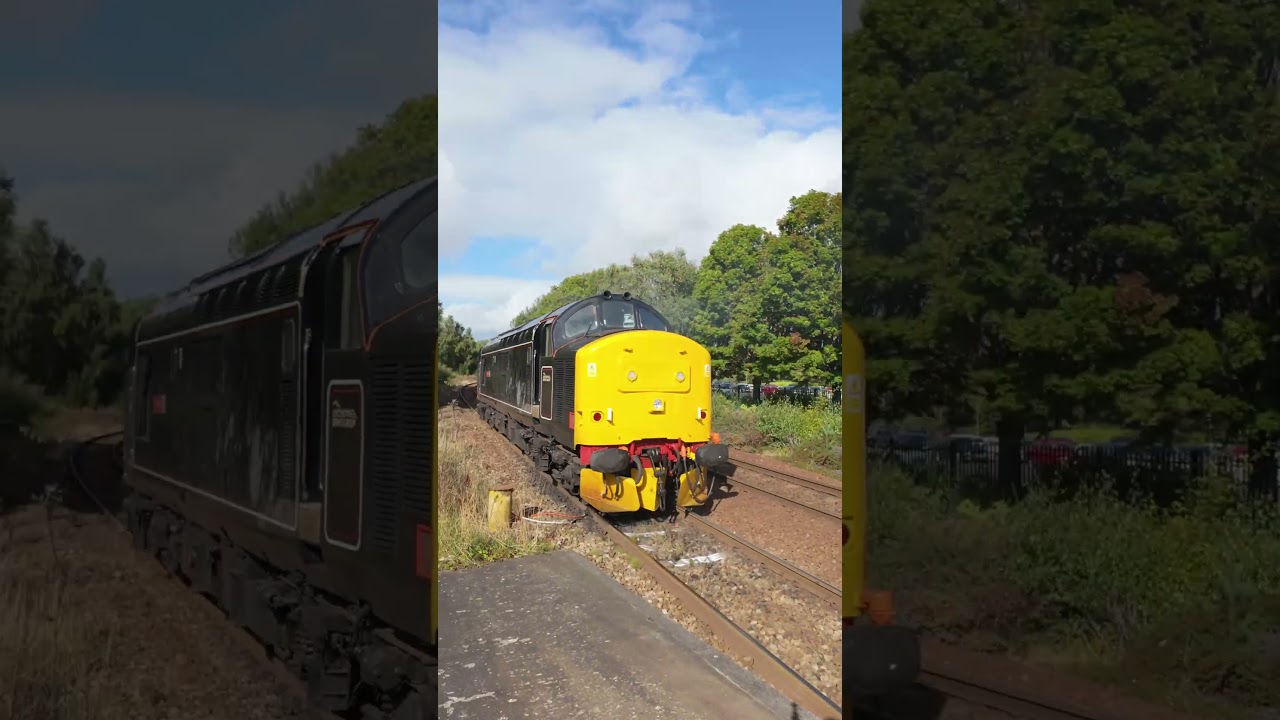 LSL 37667 "Flopsie"