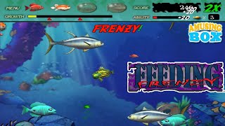 Feeding Frenzy | Stage 32-34 | Killer Instinct | Eat Fish GamePlay | 8th Part