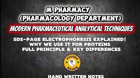 SDS-PAGE Electrophoresis EXPLAINED! | Why We Use It for Proteins + Full Principle & Key Differences
