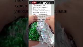 Какое крупнейшее озеро  #факт #факты #мемы #топ5 #рофлы #реддит #интересно #топ