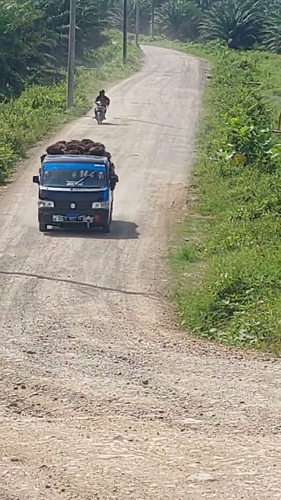 new carry muatan 3 ton #muatanberat #sawit #drivermuda