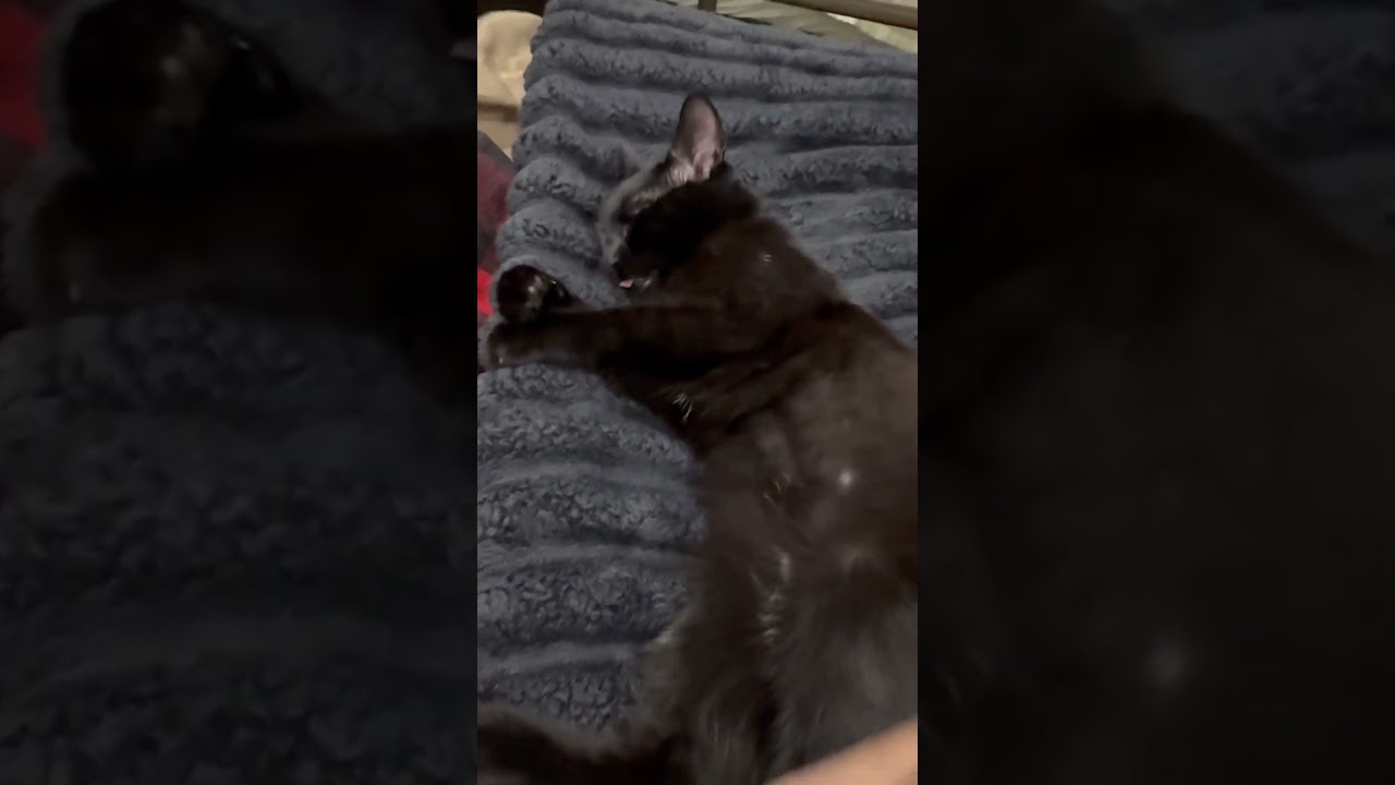 КАК МОЙ ВРАЧ СОЛГАЛ 