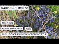 Garden chores  why i dont prune my crepe myrtle tree