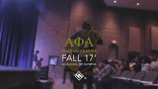 Delta Mu Chapter of AΦA, Fall '17 Probate Highlight