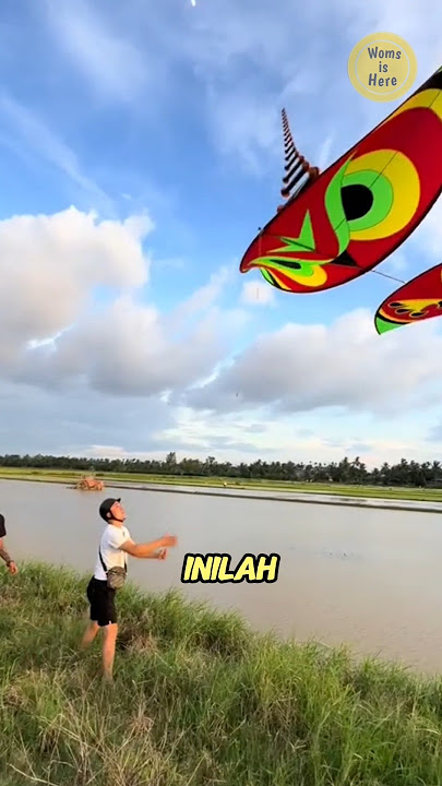 The Secret of the Sweet Sound of Vietnamese Kites