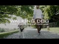 60 person walking a dog free stock footage  woman or man walking together with a dog