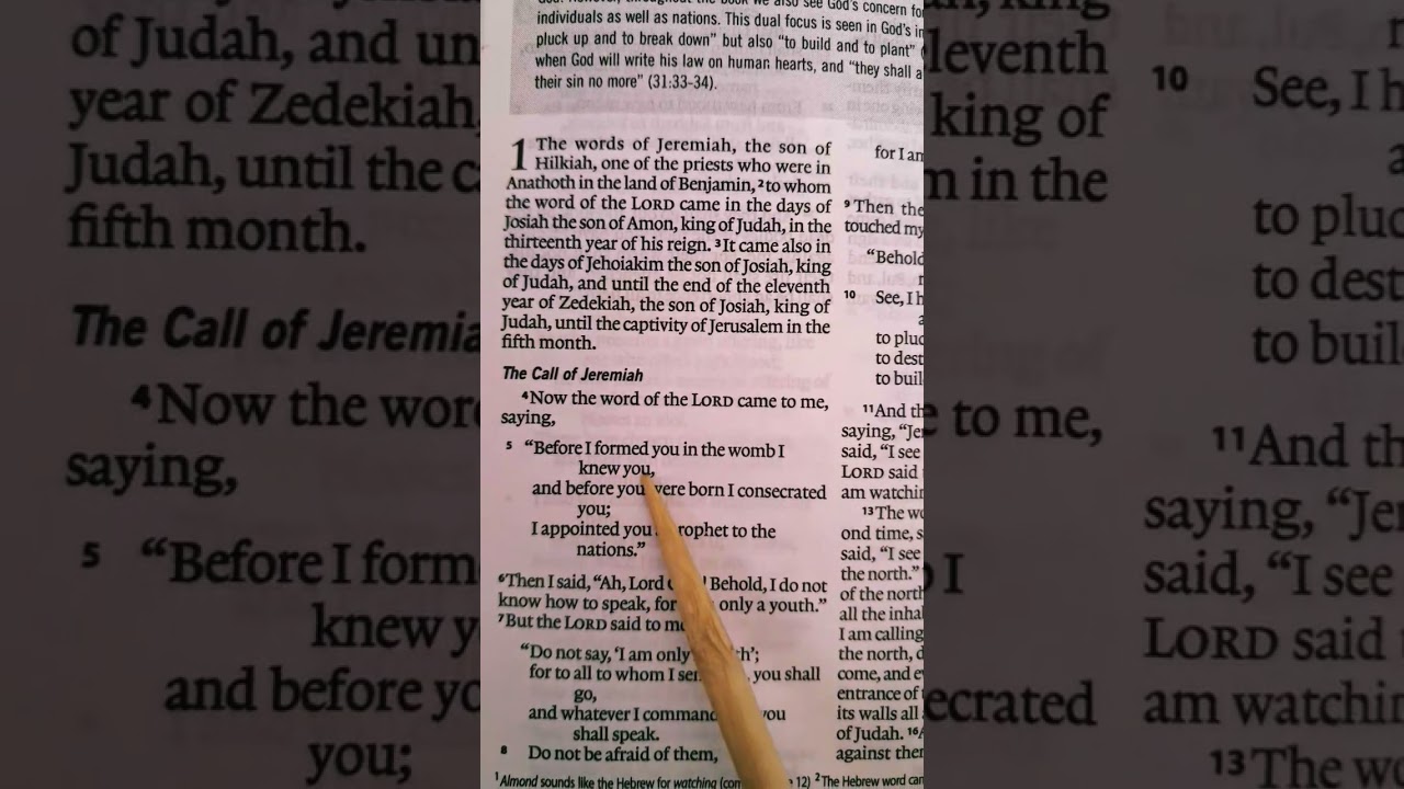 Bible Verse - Jeremiah 1:5 Before the Lord formed you in the womb he already knew you