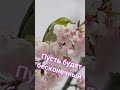 Для моих друзей 😀😀😀Дарю позитив на весь день 😆😘😘💋♥️