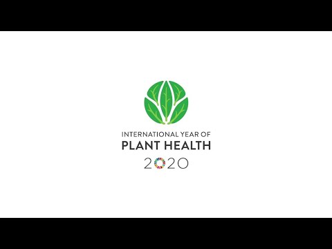 Watch why #planthealth is so important in the extended International Year of Plant Health