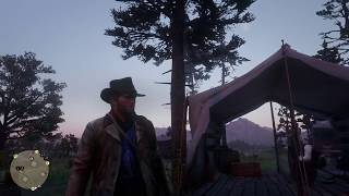 Red Dead Redemption 2 - Help Text Menu: General, Combat, Horse, Crime, Activities Information (2018)