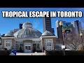 Hidden Oasis In Downtown Toronto College Park To Allan Gardens Walk