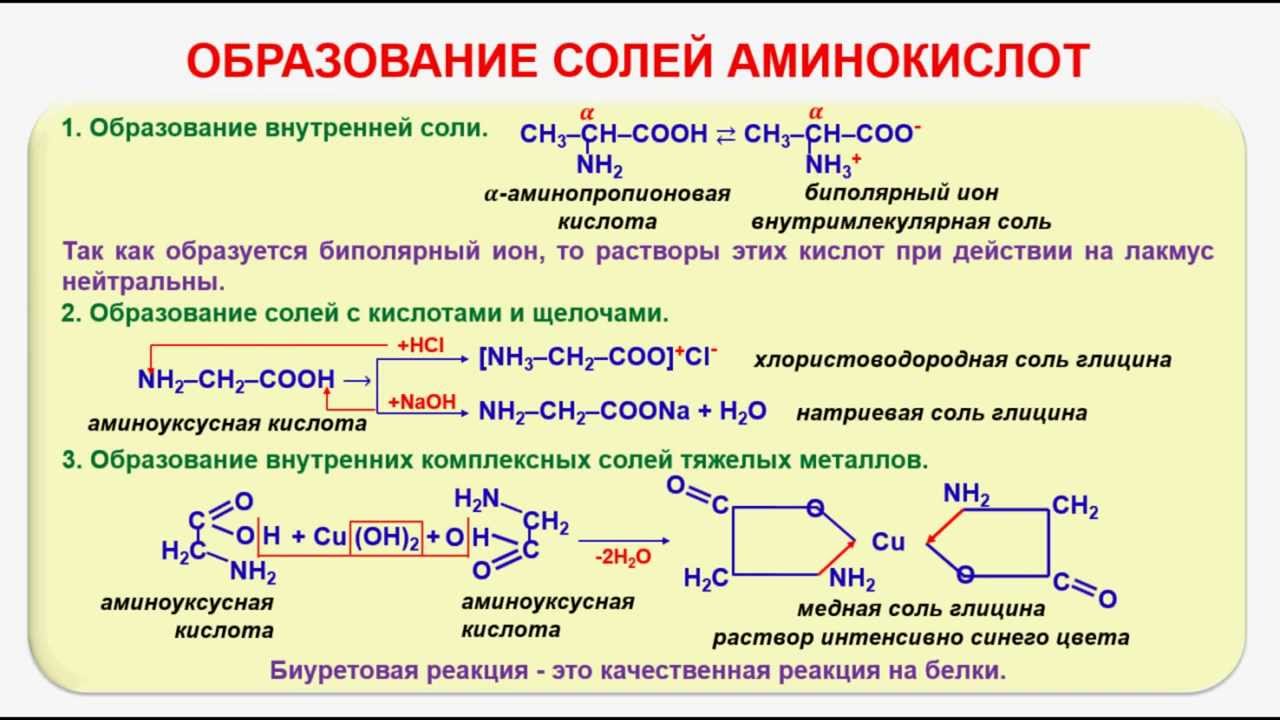 Белки образующиеся соединения. Образование внутренних солей аминокислот. Образование внутренней соли аминокислот. Реакции образования солей из аминокислот. Соли аминокислот химические свойства.