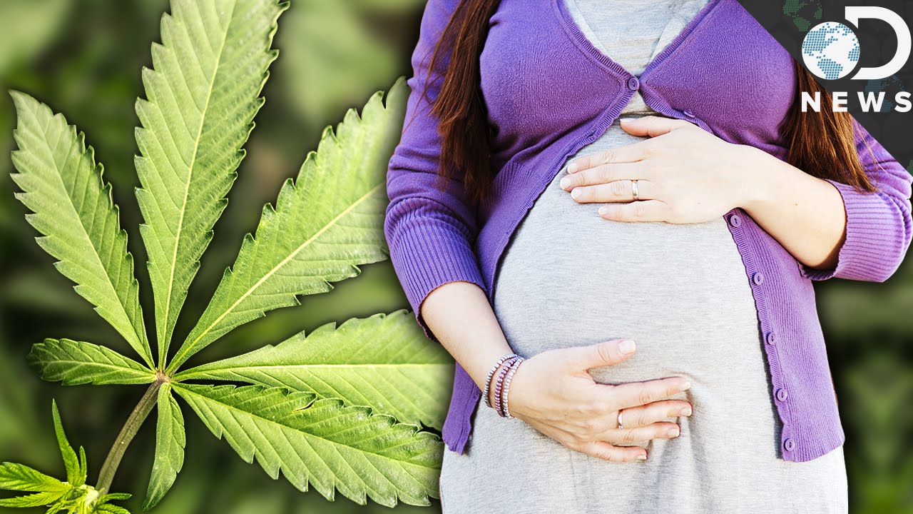 More pregnant California women are using marijuana, but risks still aren't fully understood