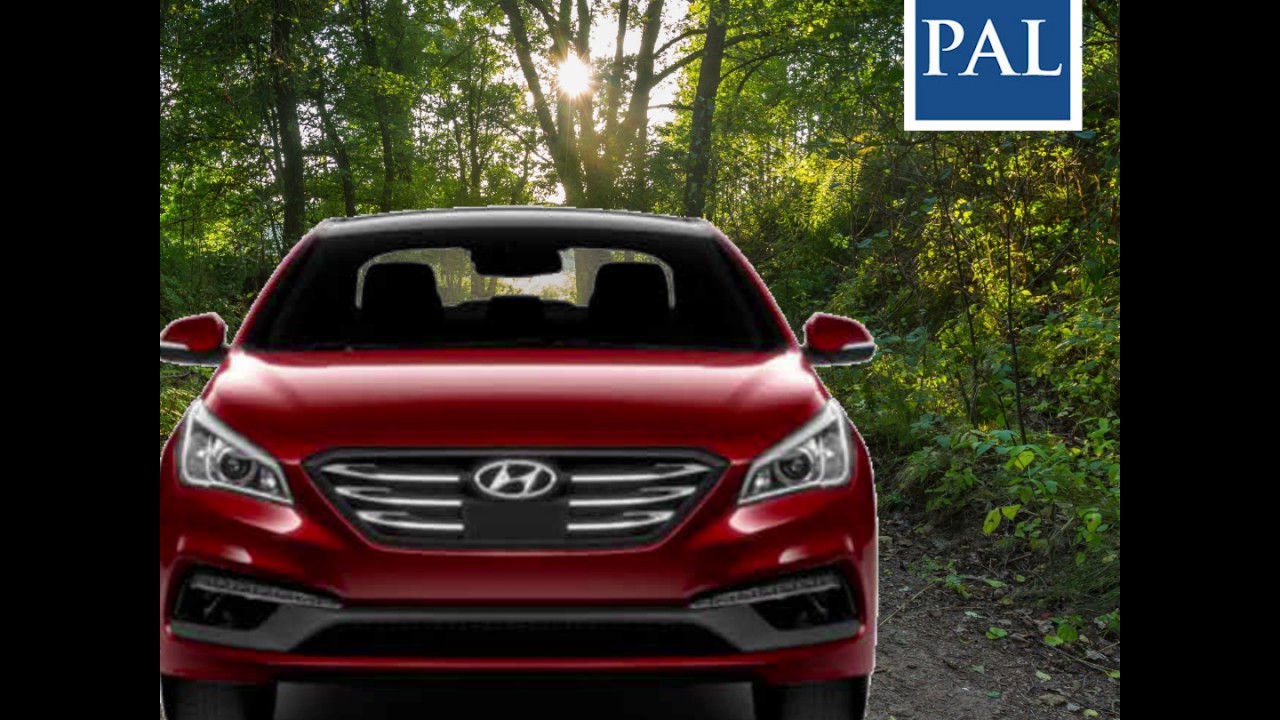 March Madness at Plaza Auto Leasing YouTube