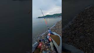Sekali lempar langsung straik. #fishing #mancingmania #mancing