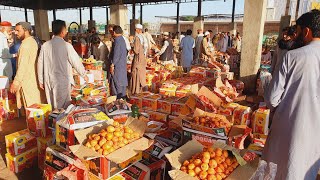 Fruit mandi islamabad updates | Daily mandi Wholesale price | Islamabad Wholesale Fruits Market |