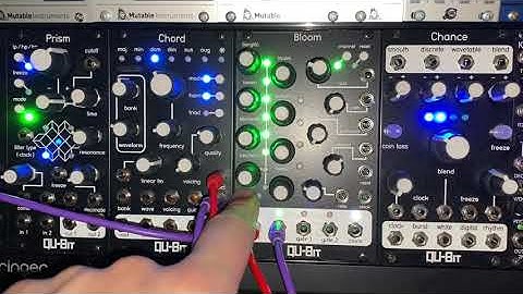 Beautiful QUICK Eurorack Patch ONLY Using QuBit Bloom, Chance, Chord v2, and Prism