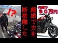嫁に内緒で旦那が大型バイクを納車していたらどうなるのか？！【ドッキリ】