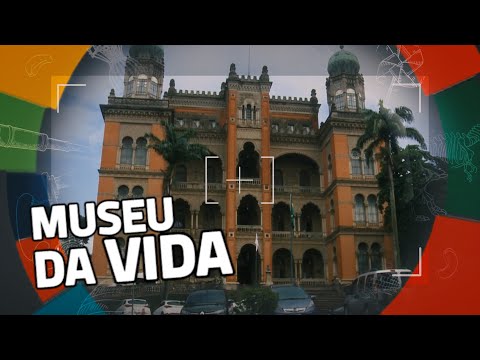 Vídeo: Vida Propera Al Museu
