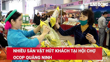 Nhiều sản vật hút khách tại Hội chợ OCOP Quảng Ninh | Báo Lao Động