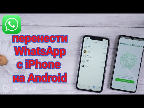 Как перенести WhatsApp c iPhone на Android [В 2023 году]