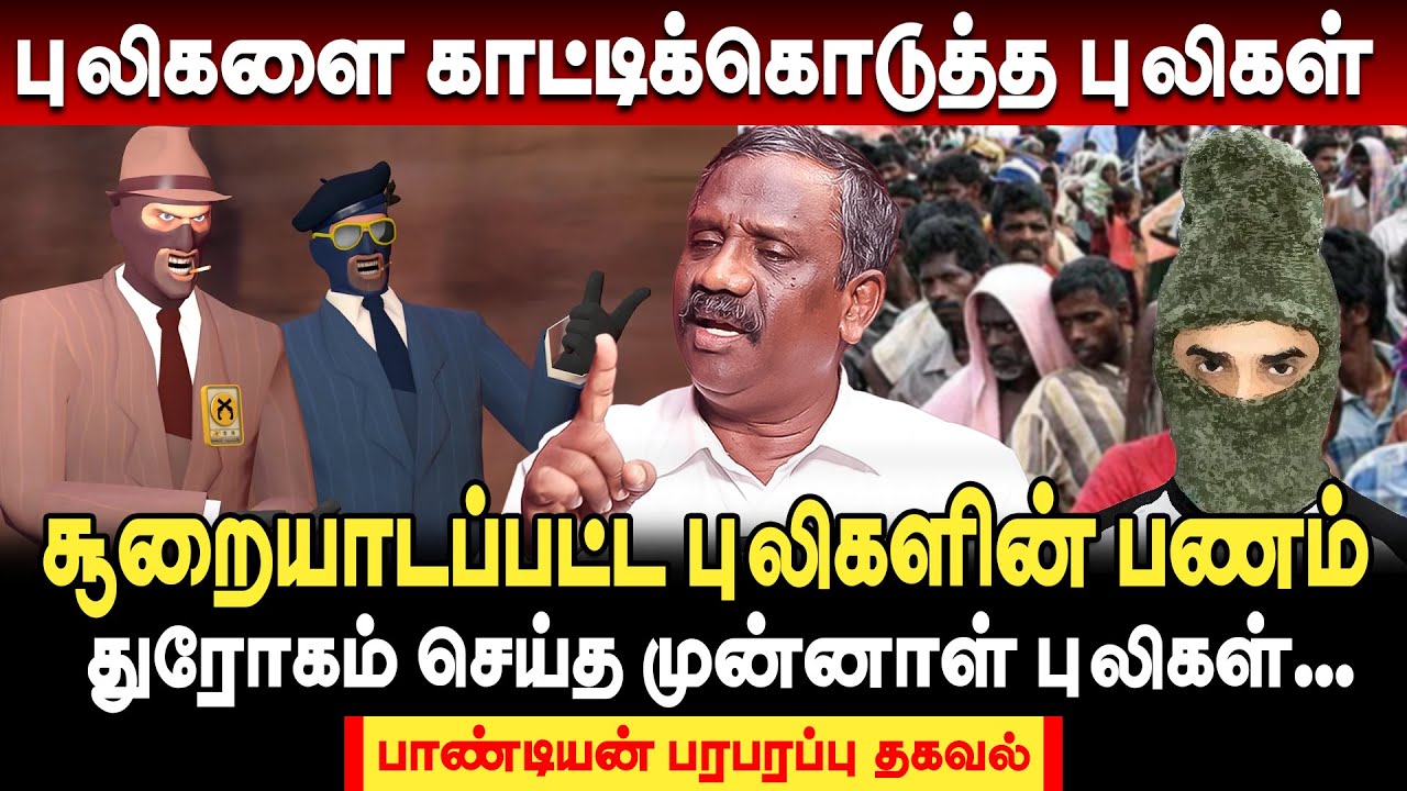 சூறையாடப்பட்ட புலிகளின் பணம்! புலிகளை காட்டிக்கொடுத்த புலிகளின் கதை | journalist pandian interview