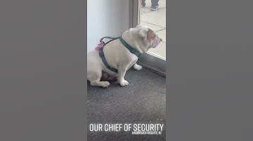 Our New Jersey frame shop security #vivoV20BeTheFocus #nj #frameshop #njframeshop #art #hasbrouckhe