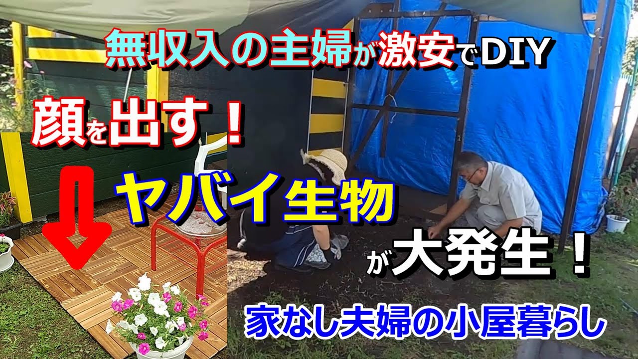 激安!ウッドデッキをDIY【50代無職 家なし夫婦の小屋暮らし】優貴プロジェクト YouTube
