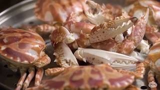 【家常菜食譜】原來螃蟹要這樣處理！清蒸螃蟹STEAMED CRAB