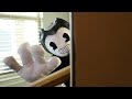 Save Little Flash from Bendy&#39;s Ink Machine! (Hide and Seek Family Game) K-City