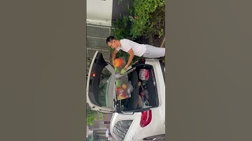 Transparent display for rear auto windows