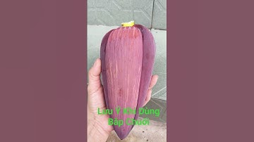 Công Dụng Của Bắp Chuối Rất Hay#baithuocdangian