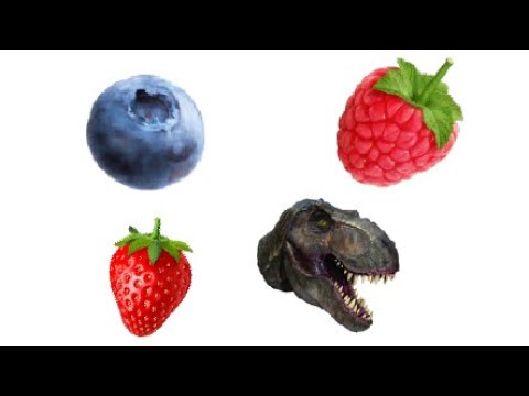 Colleting Berries