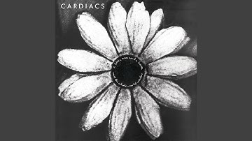 The Whole World Window